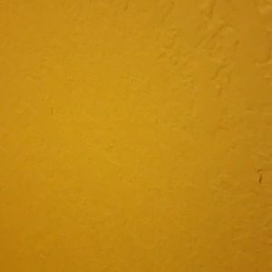 Meet your Posher, Will